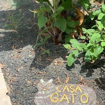 Casa Gato