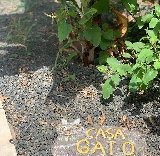 Casa Gato